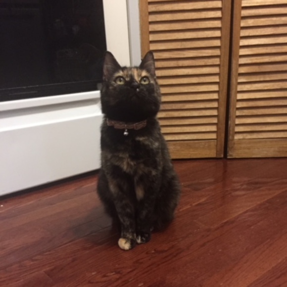 Meet your Posher, Kimberly - Picture 1 of 1